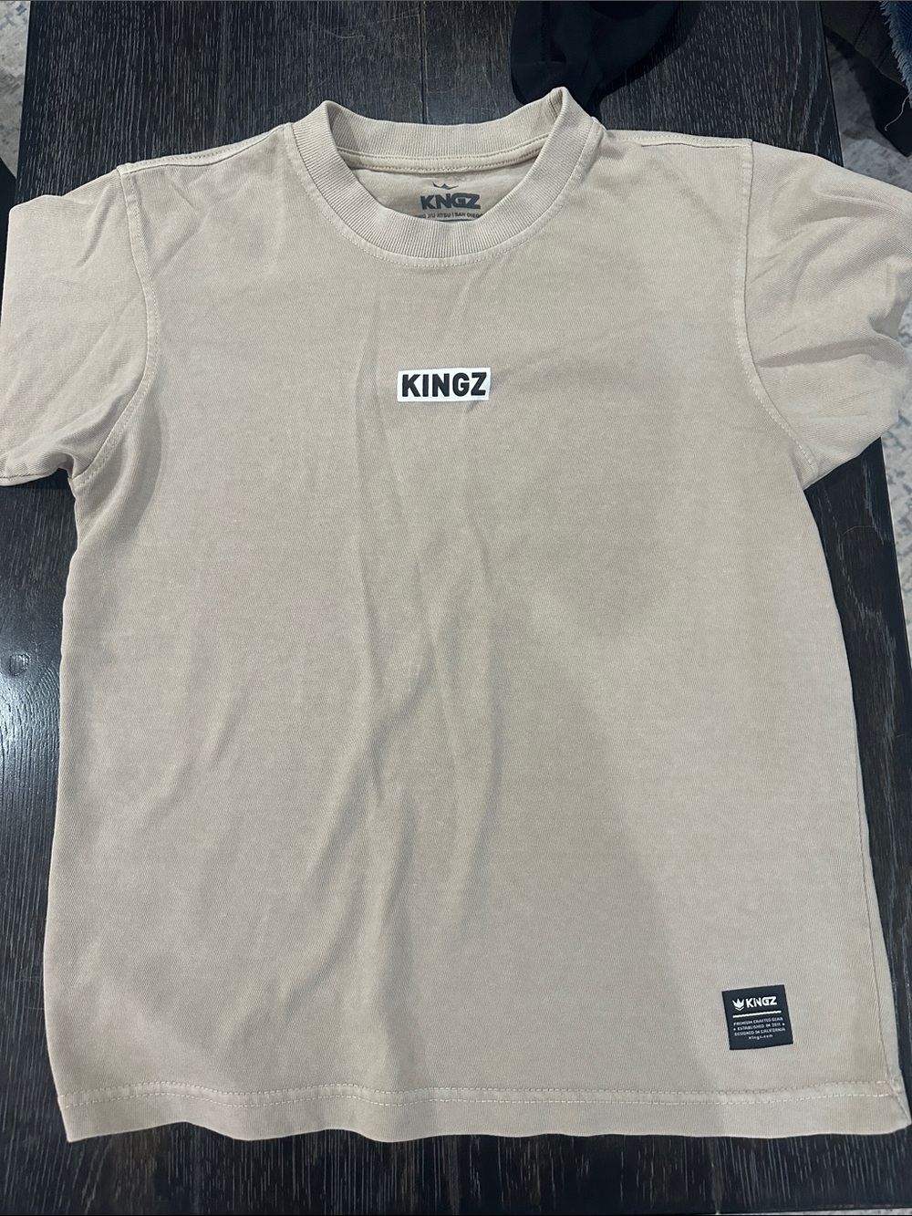 KINGZ Men's Short Sleeve Tee in Beige